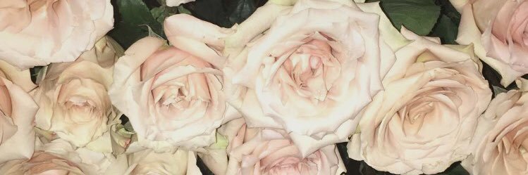 lizloreee's profile banner image