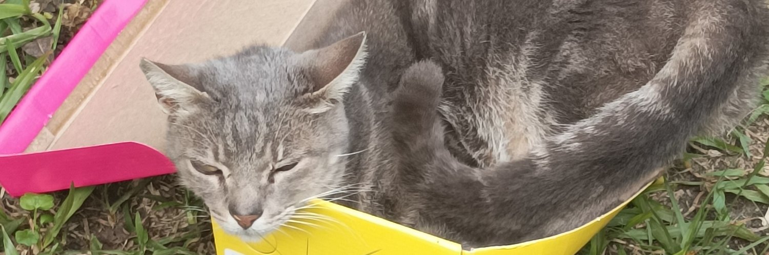 ccamiliss's profile banner image