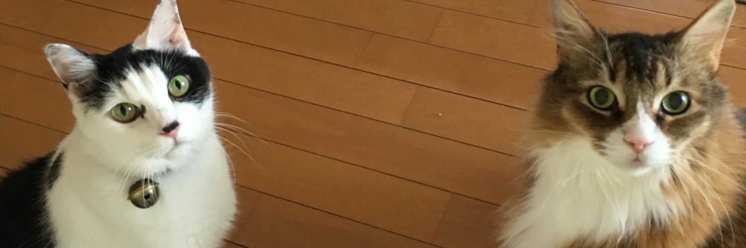 1997hiroto1222's profile banner image