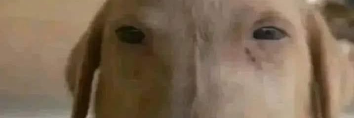 2k22_AX's profile banner image