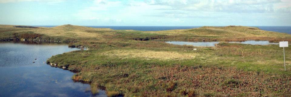 Cristina Charette banner