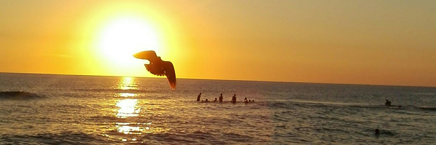 Belu_dr's profile banner image