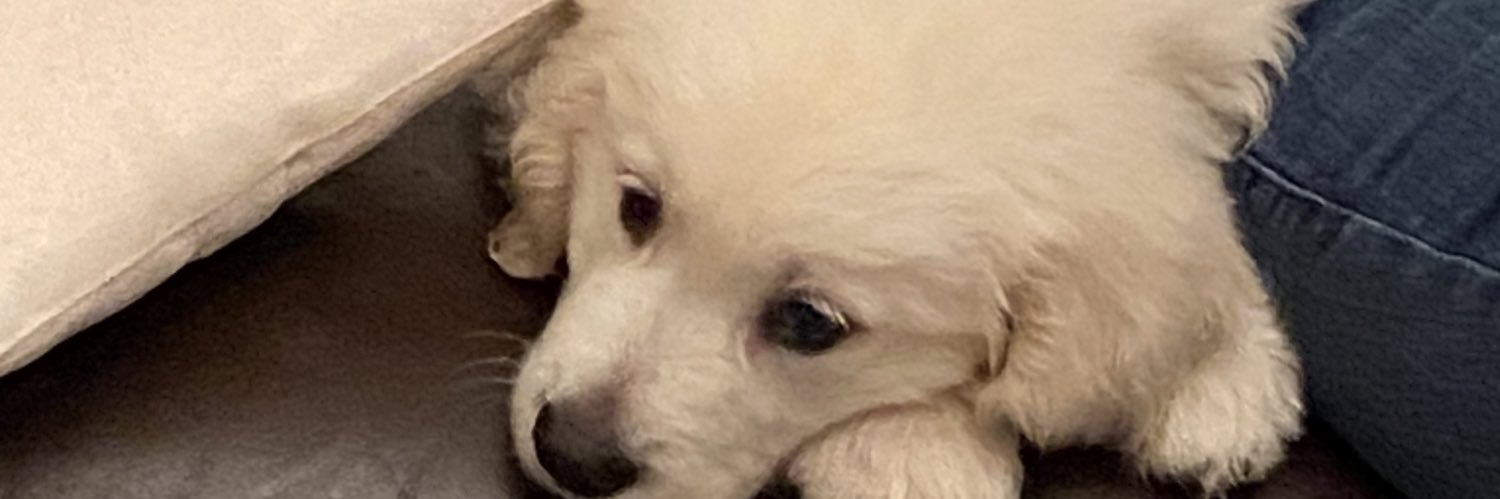 ntmcflurry's profile banner image