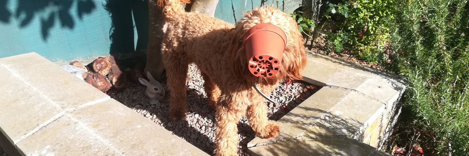 5.88t 🇺🇦 banner