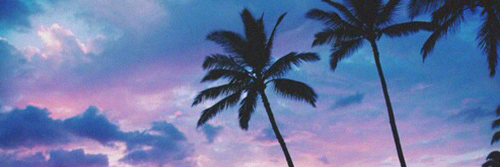 RickysPanda's profile banner image