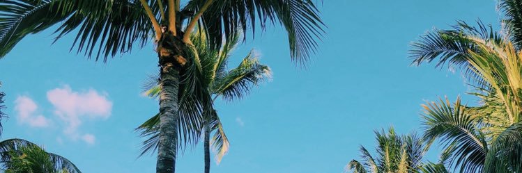 jacks_minn's profile banner image