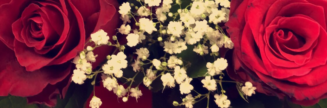 RoseDBoddy's profile banner image