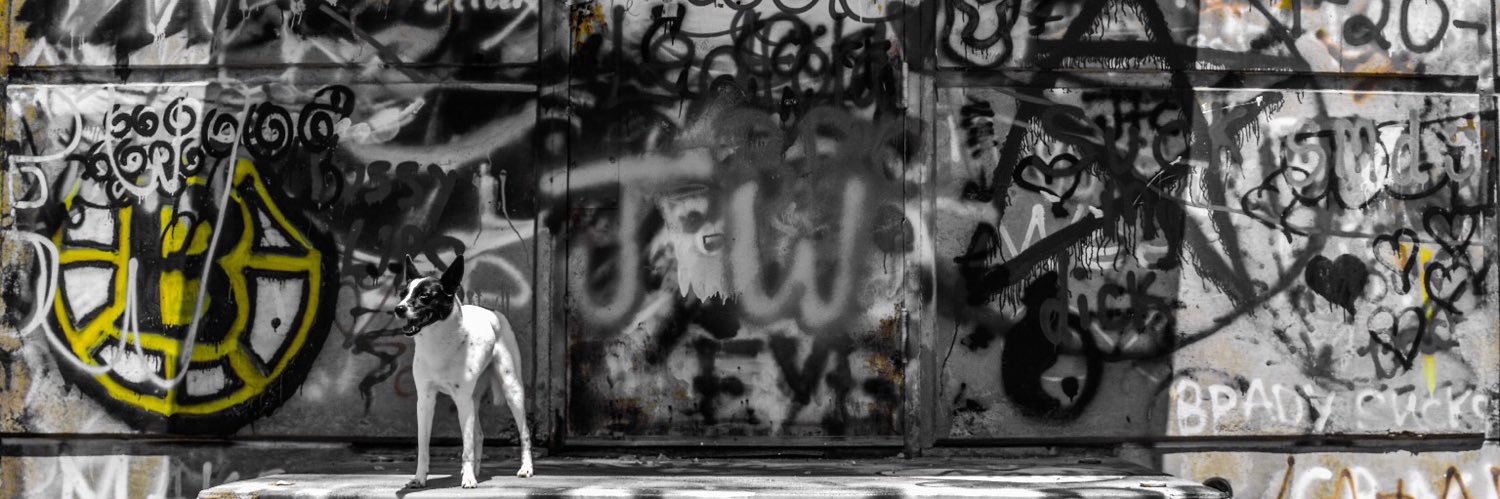stellystel3's profile banner image