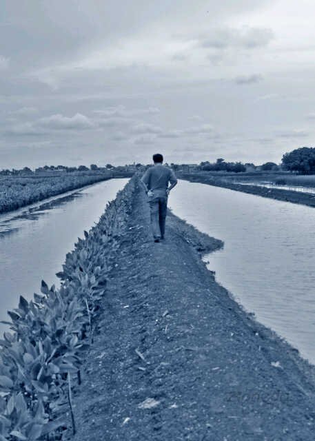 tomysetyawan's profile banner image