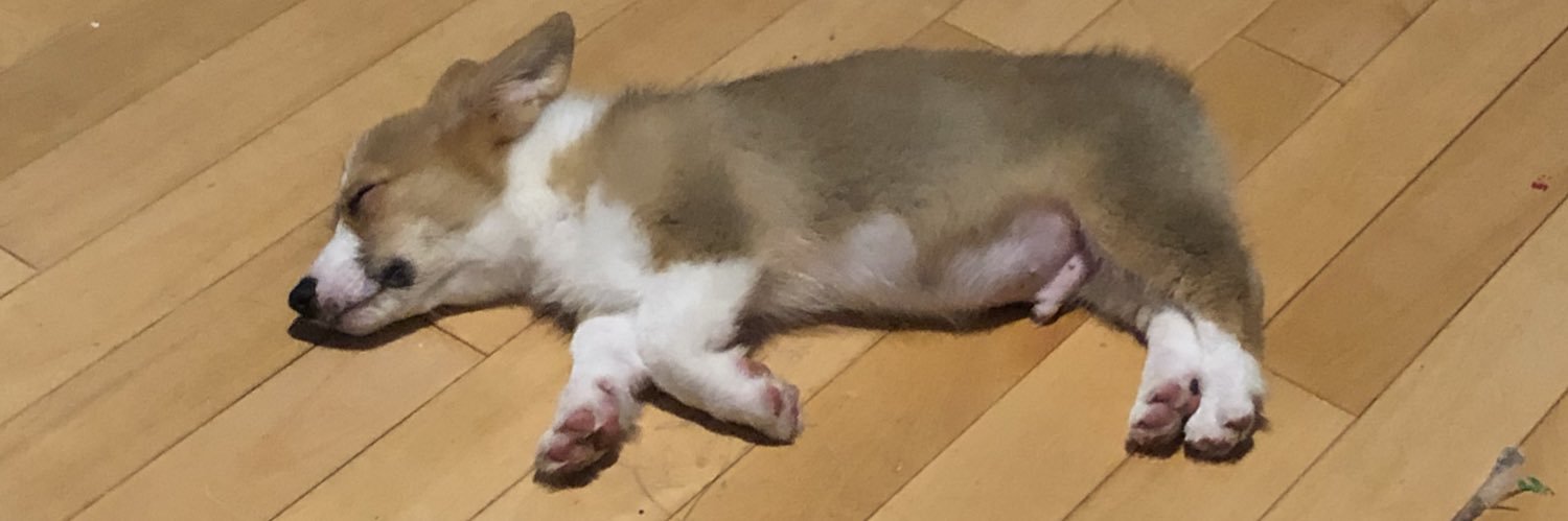 gotmeesh's profile banner image