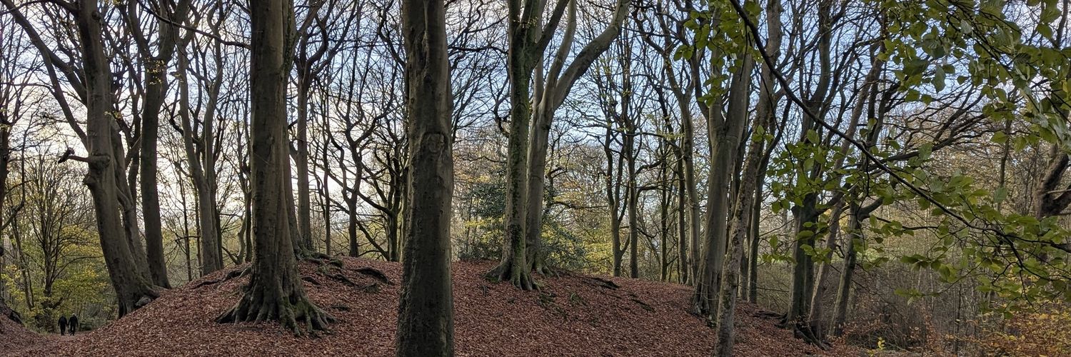 Carol B-L.🇺🇦🏴󠁧󠁢󠁳󠁣󠁴󠁿 kincavel.bsky.social banner