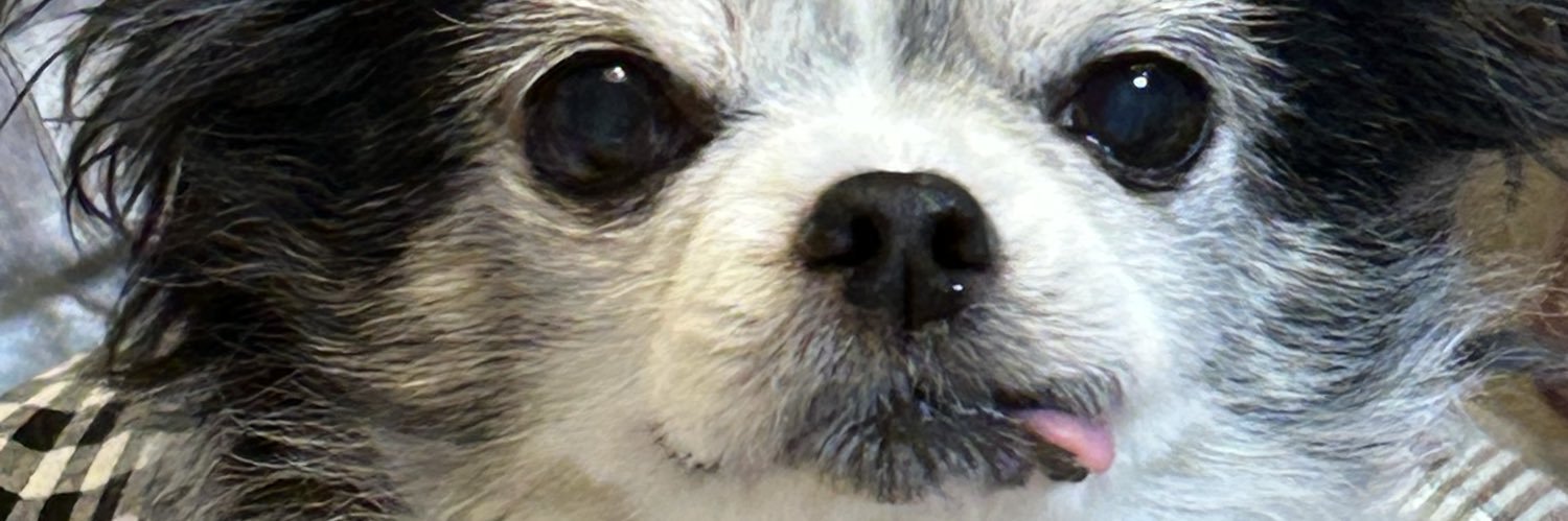 hakohakoBs's profile banner image