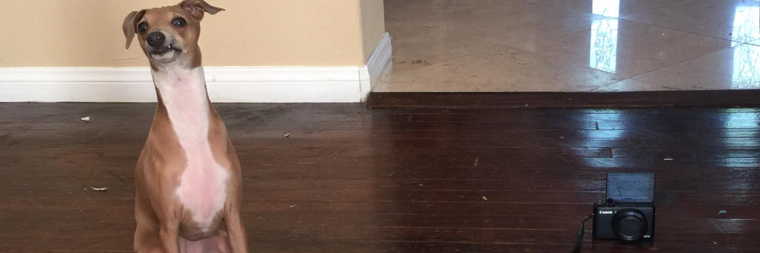 vloggy_'s profile banner image