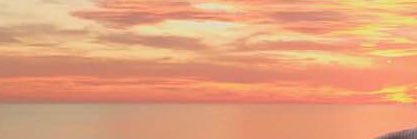 kellynnsutton's profile banner image