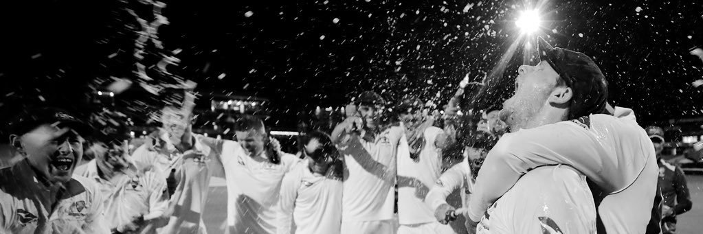 torkymonkey's profile banner image