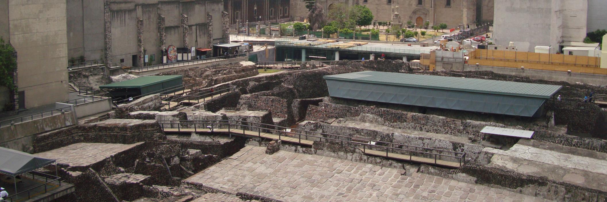 Dr. Diana Moreiras banner