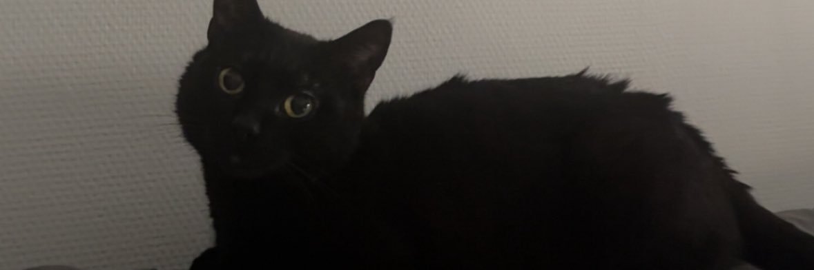 cha banner