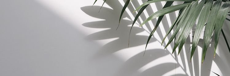 tamhamu's profile banner image