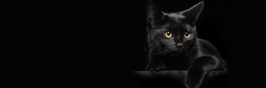 ali355a82's profile banner image