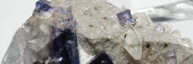 常盤(ときわ) banner