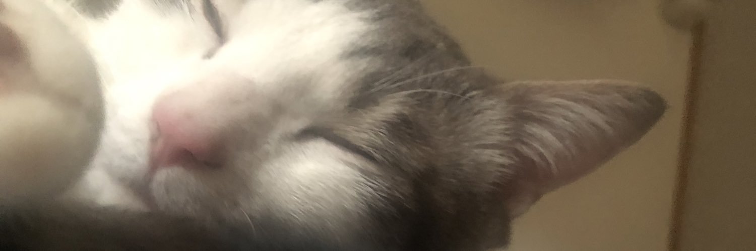 yuaaaa_max's profile banner image