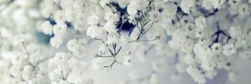 Misk5555Um's profile banner image