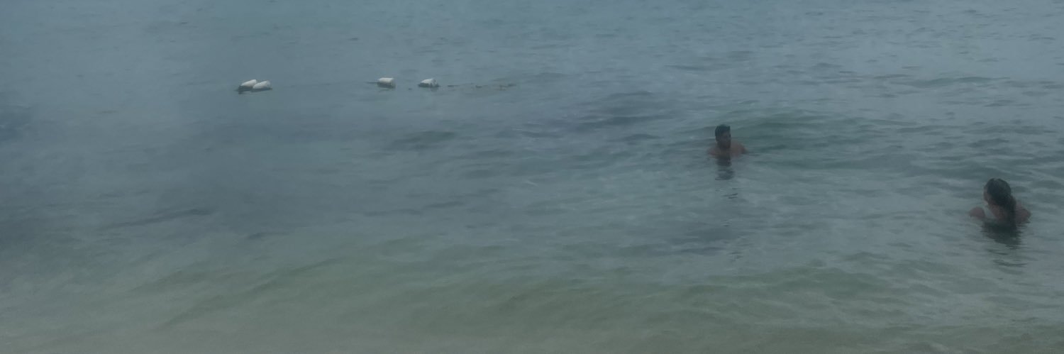 sgagirl's profile banner image