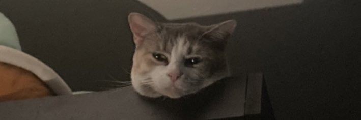 9Anggel's profile banner image