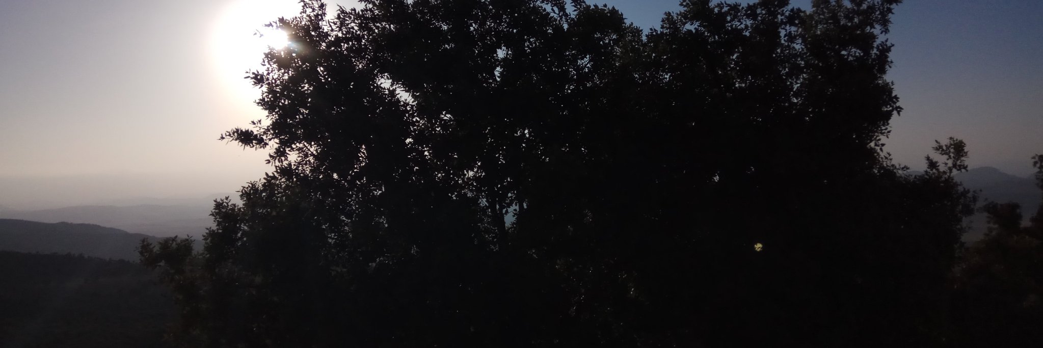 GreamSimon's profile banner image
