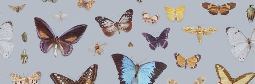 _emmapott's profile banner image