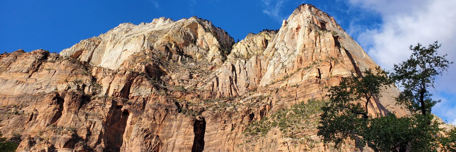 TylerBussert's profile banner image