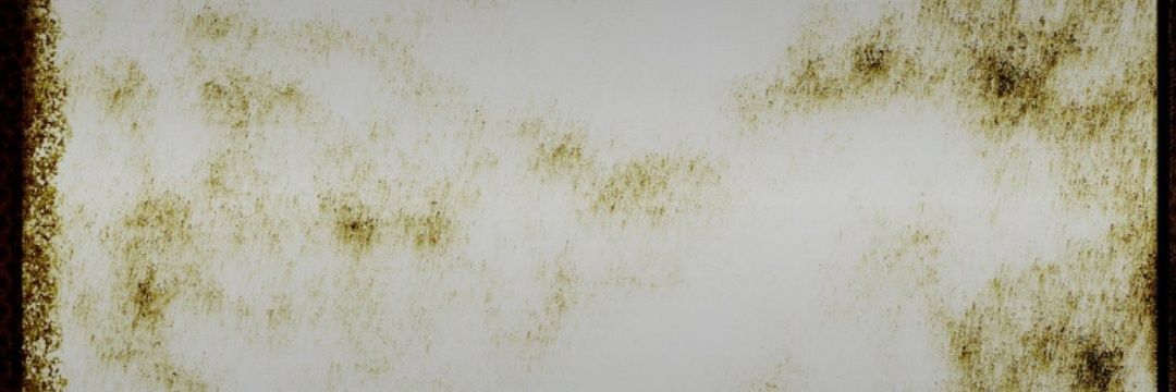 MultaniAnmol's profile banner image