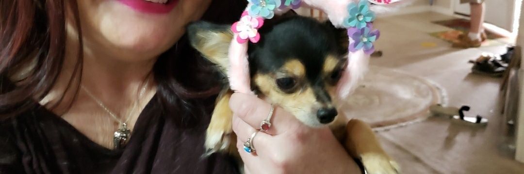 Babs banner
