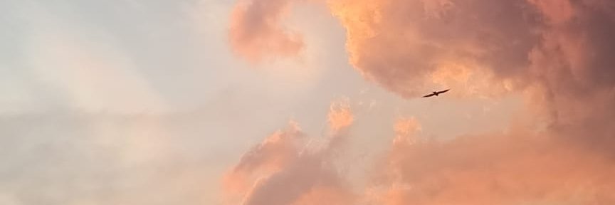 ARHarsule's profile banner image