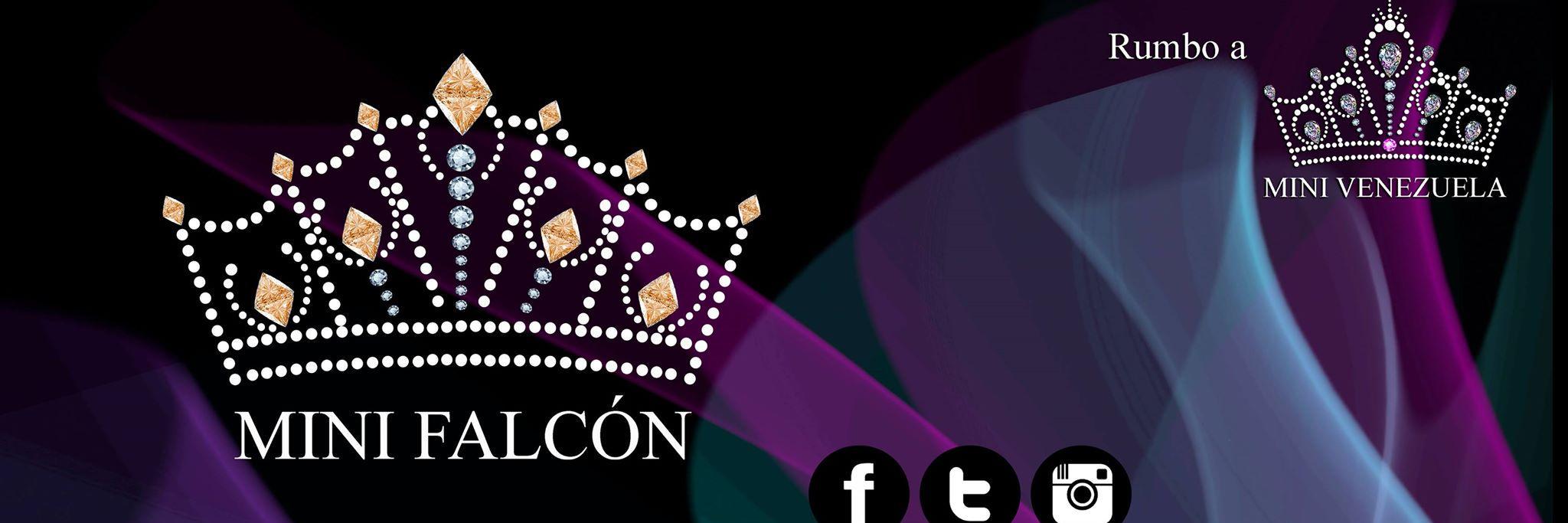 minifalcon_'s profile banner image