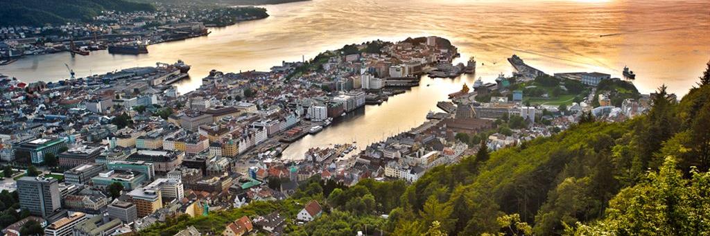 Tor Andre Ljosland banner