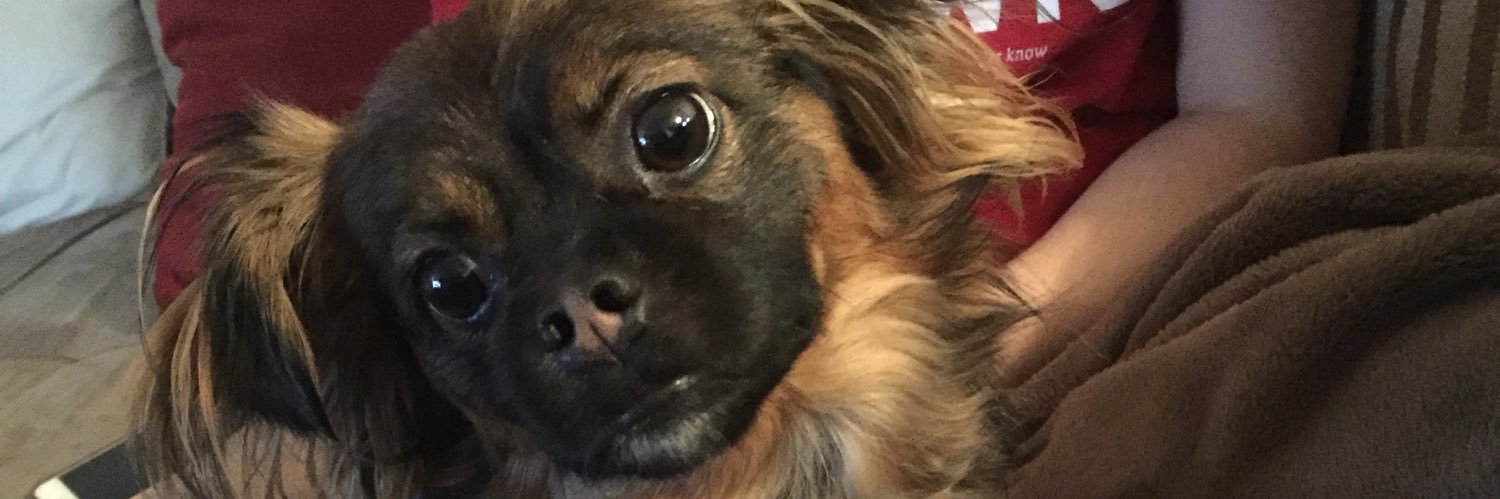 jneli58's profile banner image