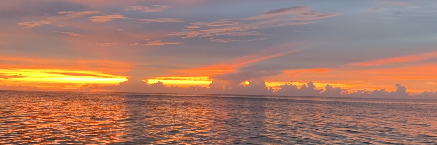 pausc_'s profile banner image