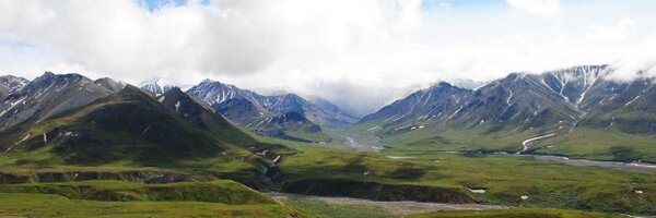 lime_crush Profile Banner