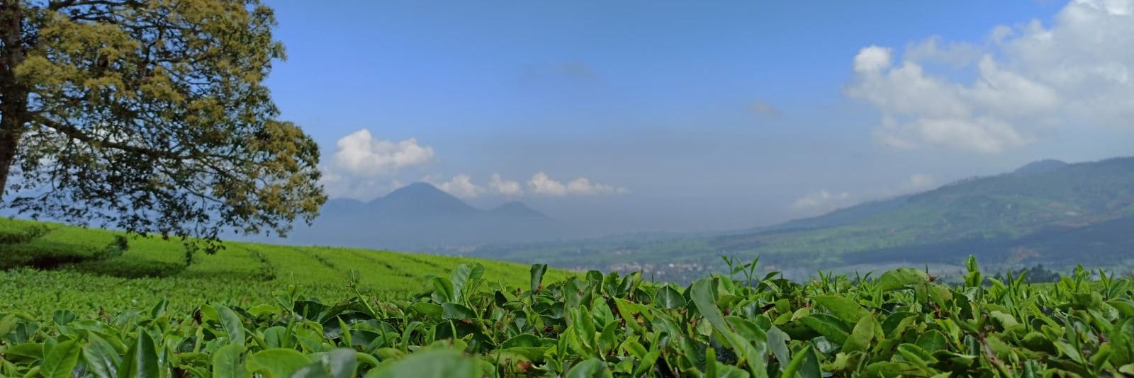 ilhampwi's profile banner image