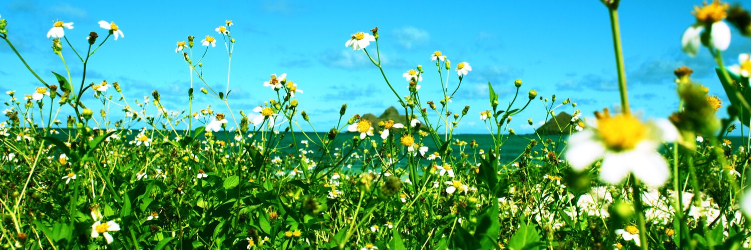 _hamico_1003's profile banner image