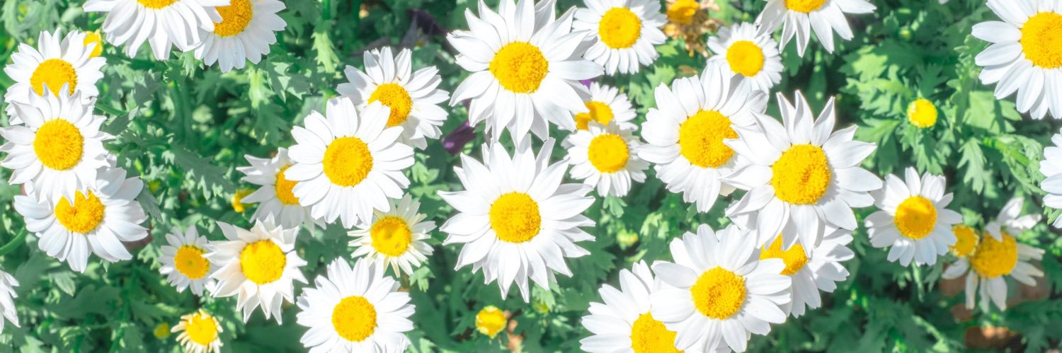 0103_krn's profile banner image