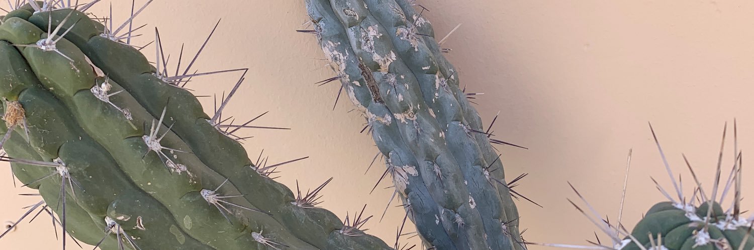 Imagine how tired i am of it banner