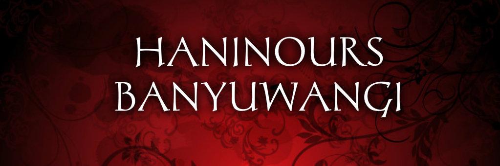 Haninours_BWI's profile banner image