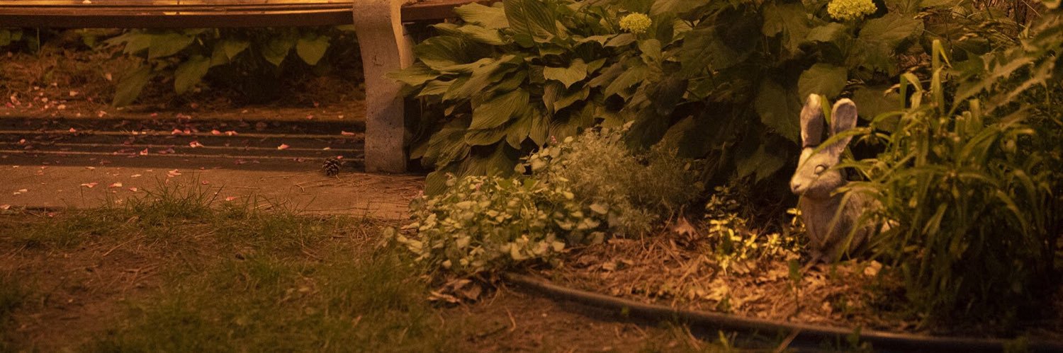 Me_egg_han_18's profile banner image