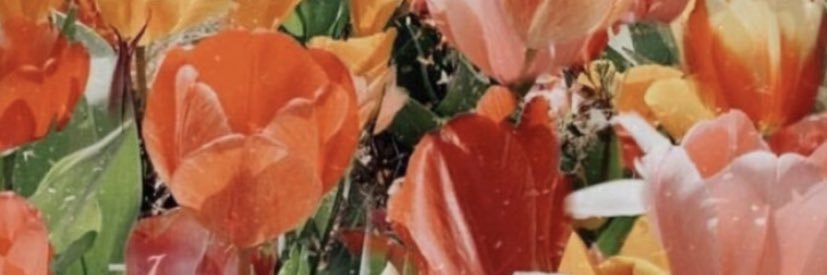 🍋🍋 banner
