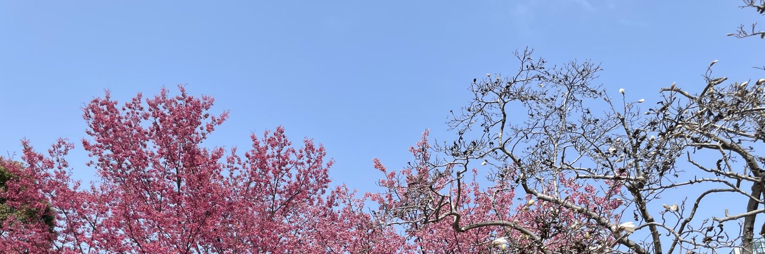 Asax_paru's profile banner image