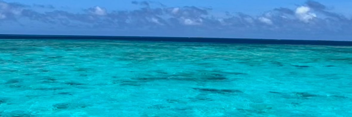 mio_nkpt's profile banner image
