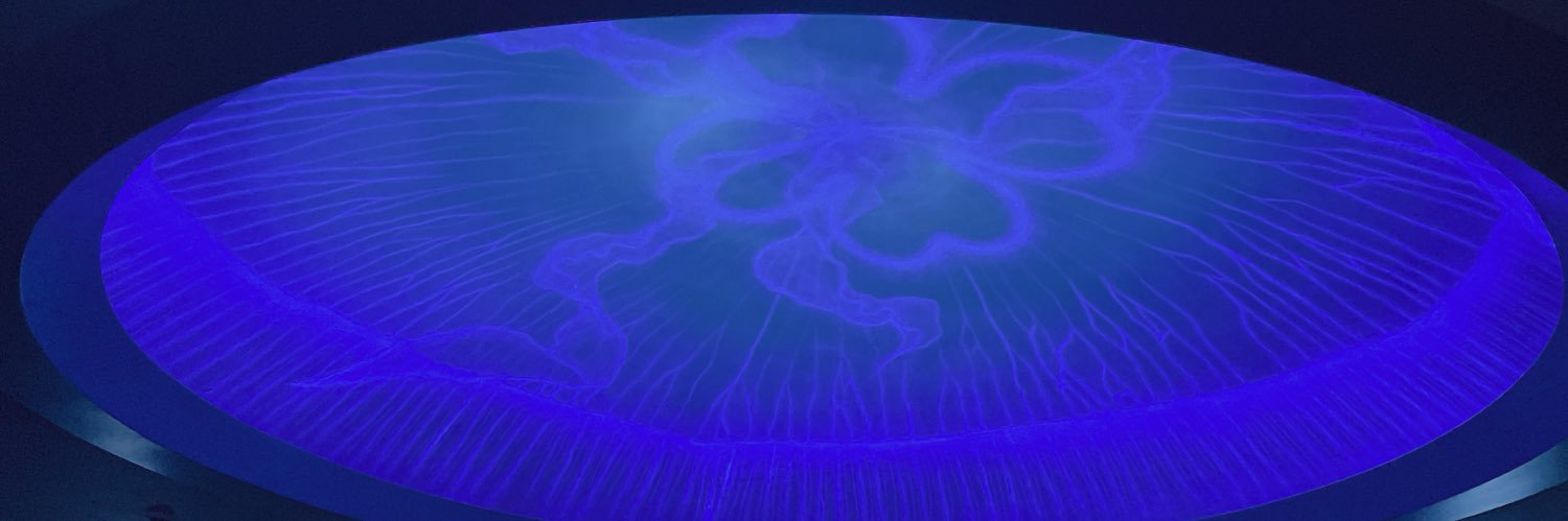 DCSNY_5's profile banner image