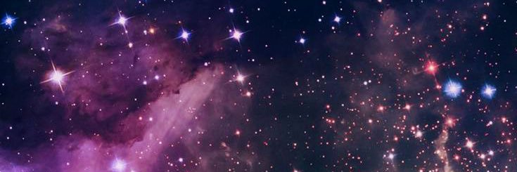 mflora_rd's profile banner image